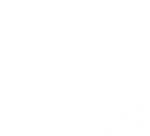 Designer White