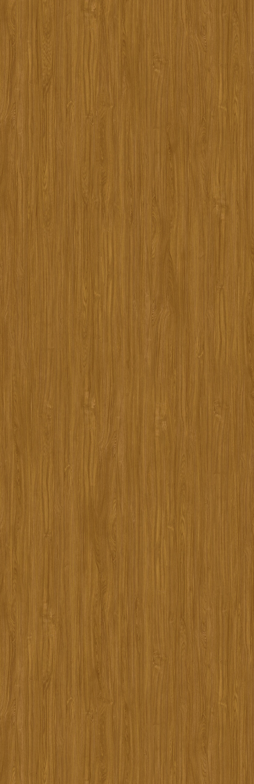 Digital Red Oak