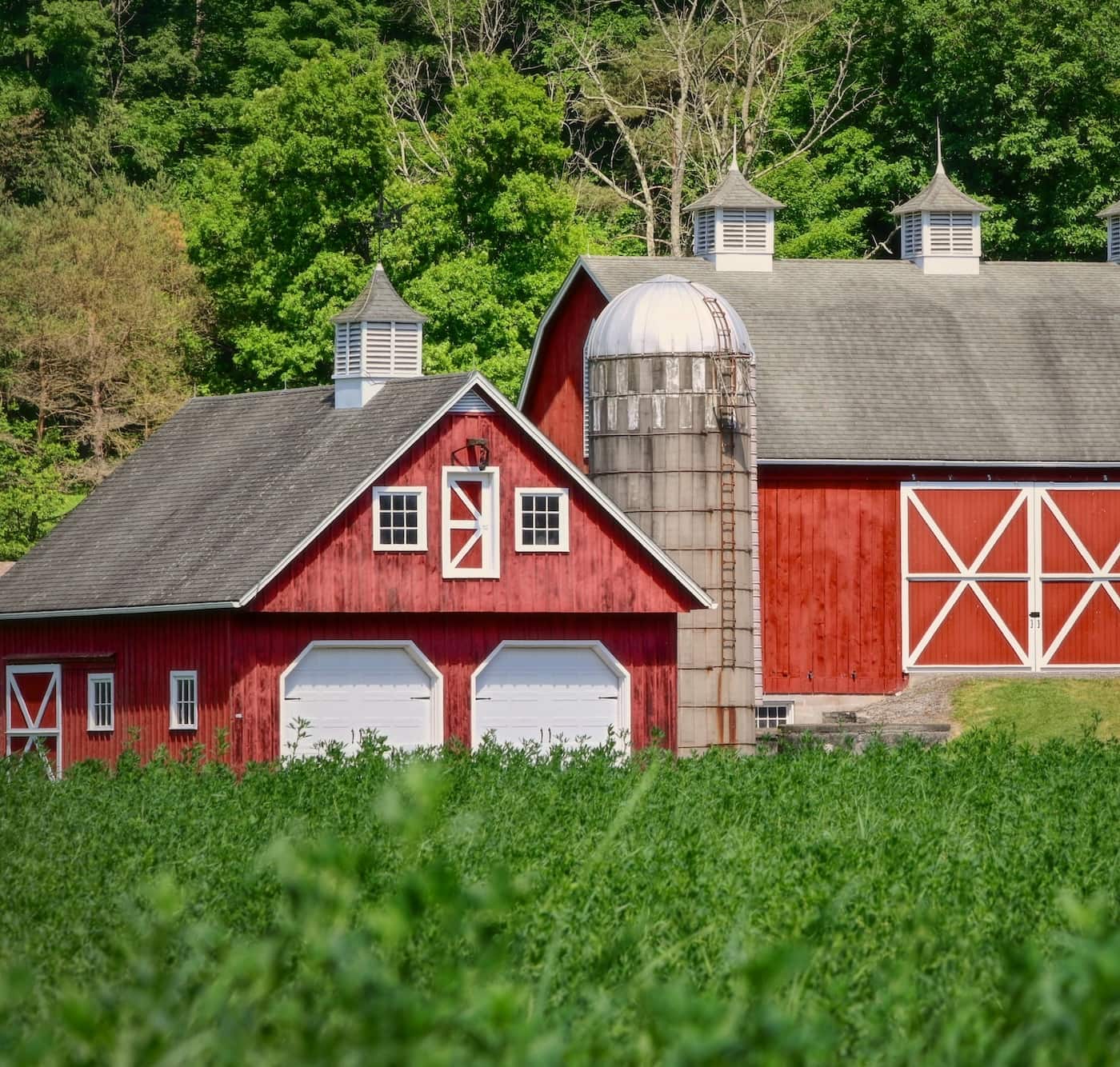 Barn Installation